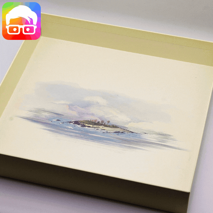 Insert pour Darwin's Journey