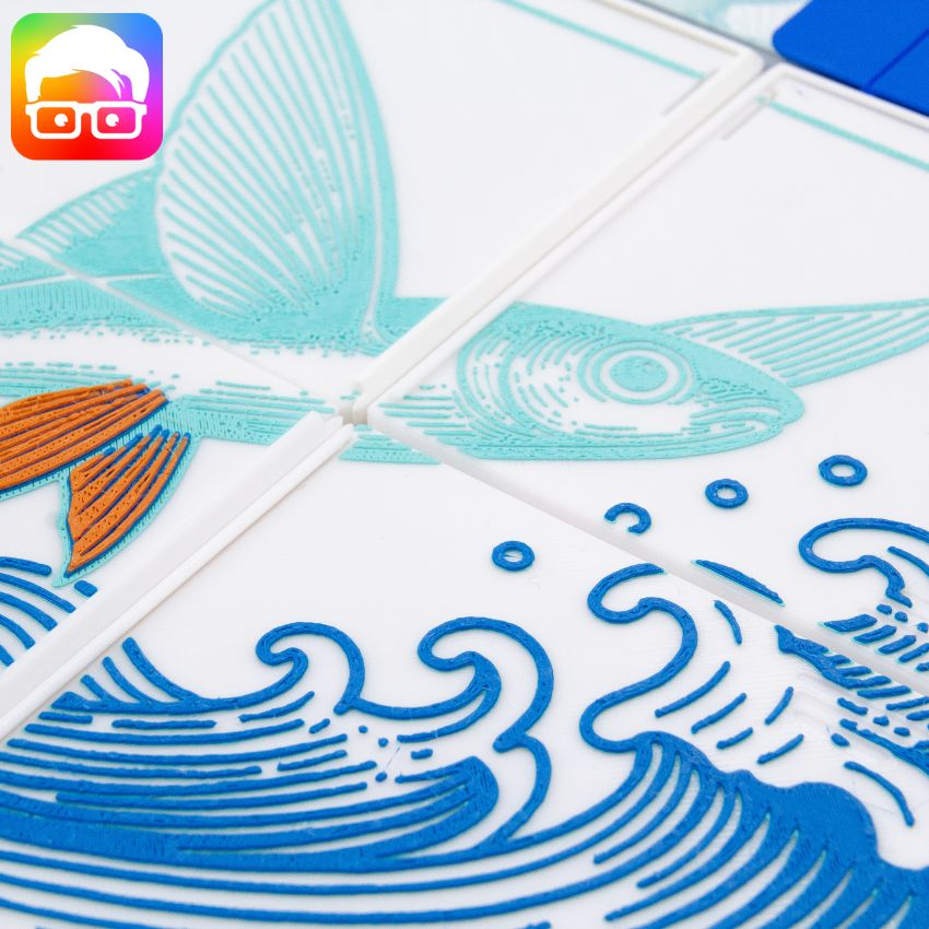 Insert pour Finspan Edition Retail