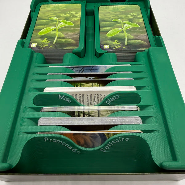 Insert pour Forêt Mixte & Extensions