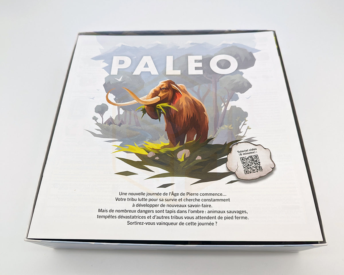 Insert pour Paleo & Extensions