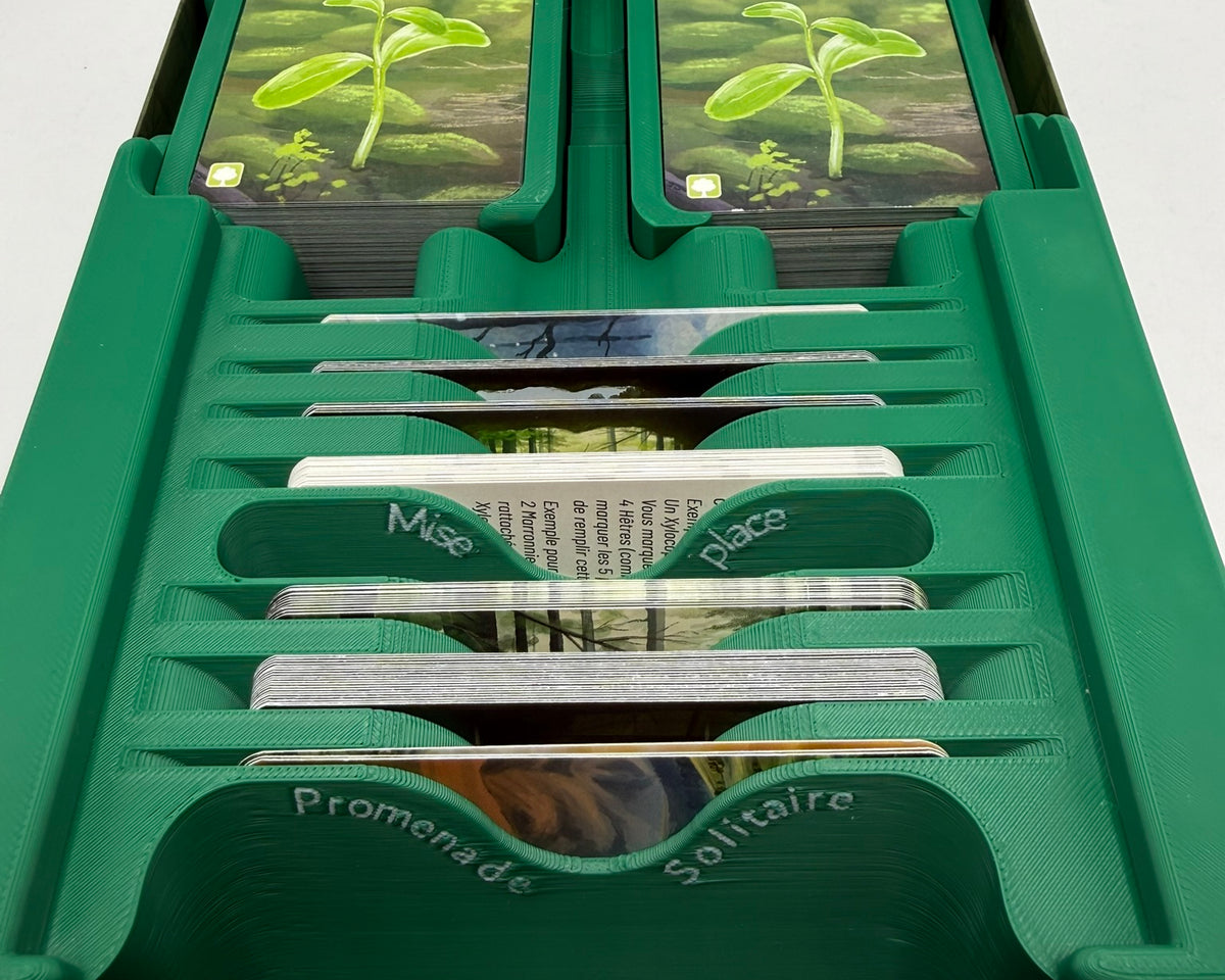 Insert pour Forêt Mixte & Extensions