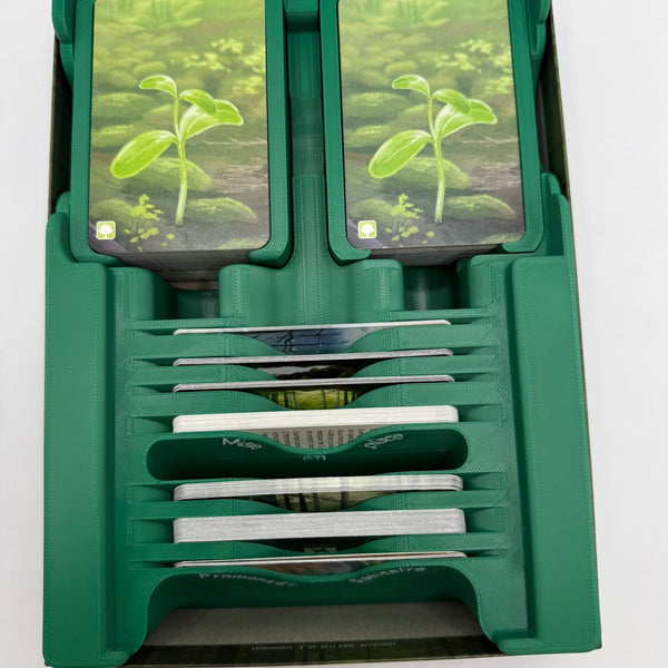 Insert pour Forêt Mixte & Extensions