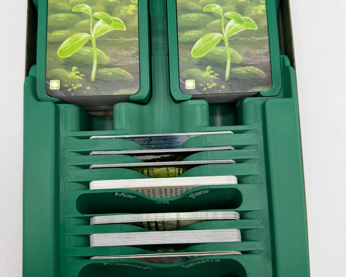 Insert pour Forêt Mixte & Extensions