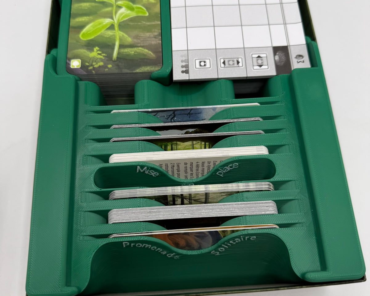 Insert pour Forêt Mixte & Extensions