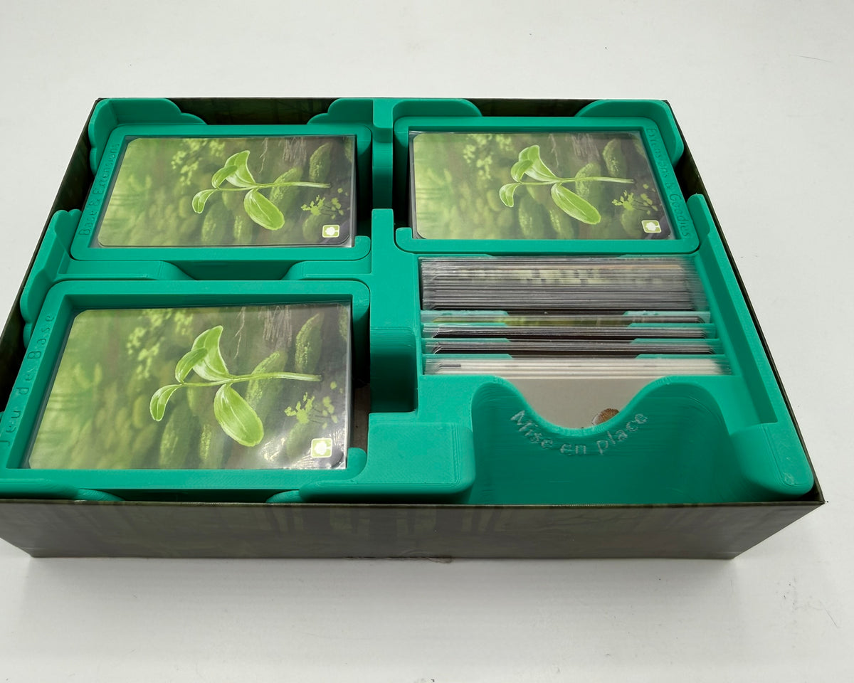 Insert pour Forêt Mixte & Extensions
