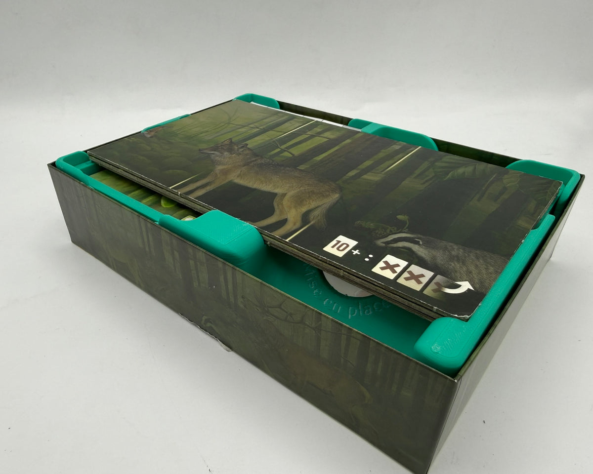 Insert pour Forêt Mixte & Extensions